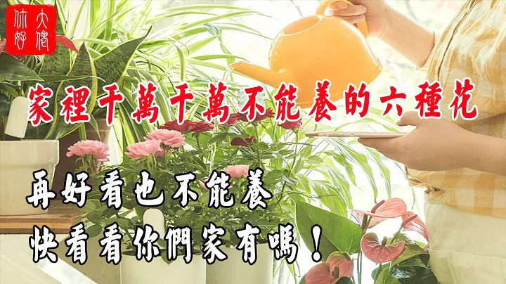 【植物风水】家里千万千万不能养的六种花，再好看也不能养，快看看你们家有吗！ - 天天要闻