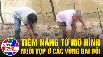 Tiềm năng từ mô hình nuôi vọp ở các vùng bãi bồi