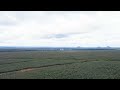 Congolese Businessman Katumbi Embraces Agriculture Congolese Businessman Katumbi Embraces Agriculture
