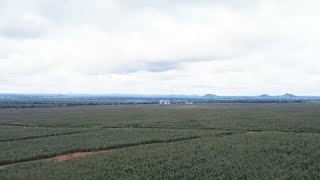 Congolese businessman, Katumbi, embraces Agriculture screenshot 4