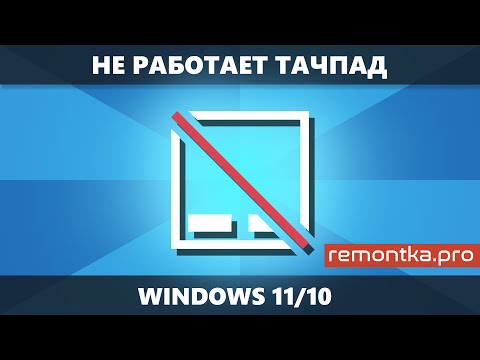 Не работает тачпад на ноутбуке — все варианты решения