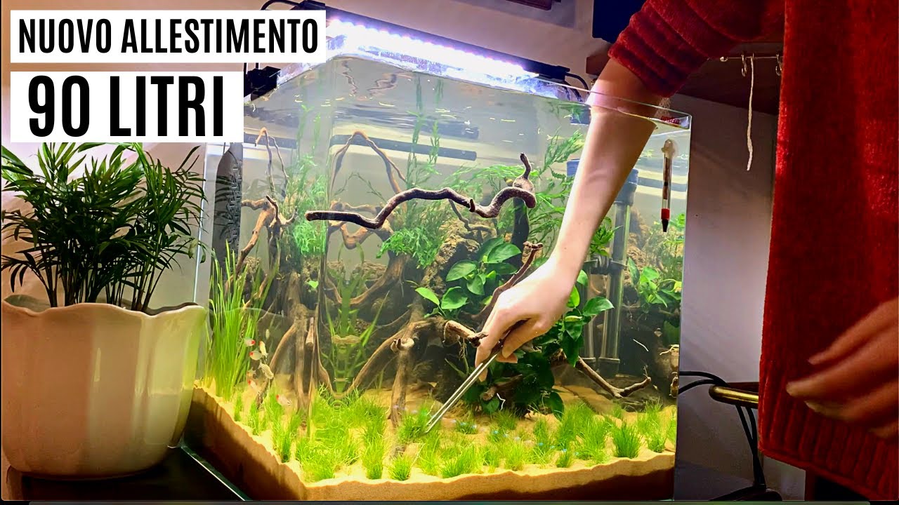 NUOVO ALLESTIMENTO DA ZERO ACQUARIO 90 LITRI 💦 - YouTube