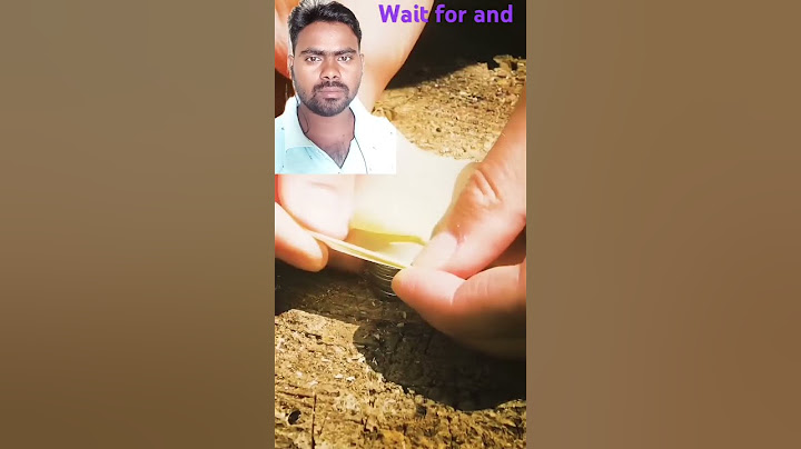 Survival skill amazing lifehack with a bottle #survival #lifehacs#outdoor#diy
