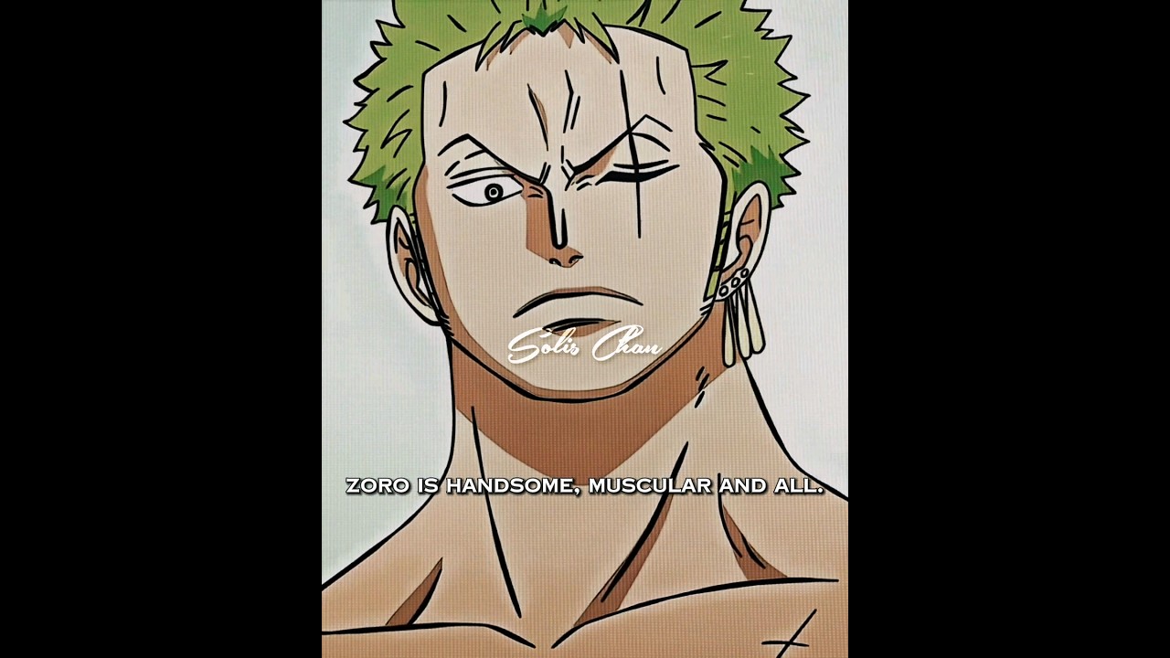 CapCut_zoro being bothered by sanji