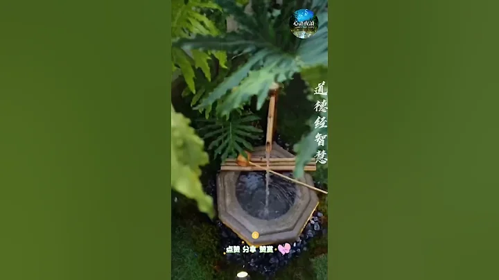 人生智慧 — 关注“心语夜读”频道，每天发送温暖人心的短视频，陪您一起感悟人生，互相鼓励。#心语夜读 #晚安 #励志 - 天天要闻