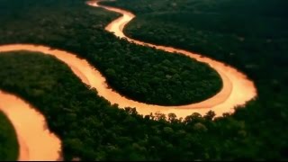 The Junglekeeper
