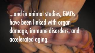 No GMO Your Guide to GMO Free Living