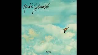 ANDRE SOLOMKO-Le deltaplane (INSTRUMENTAL VERSION) @gavranis