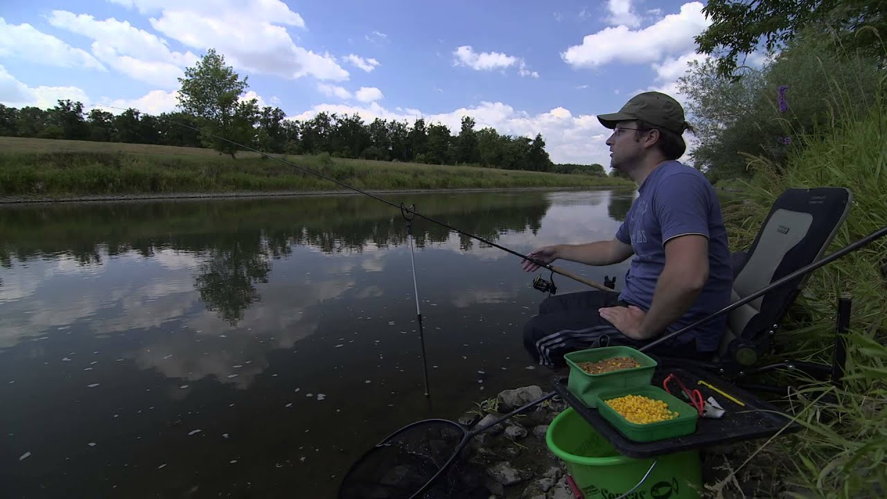 Letní feeder v proudu