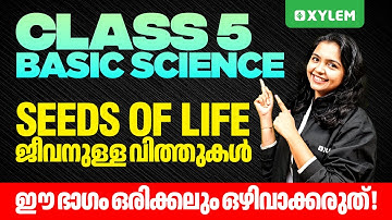 Class 5 Basic Science | Seeds of Life (ജീവനുള്ള വിത്തുകൾ) | Don’t Miss This Part! | Xylem Class 5