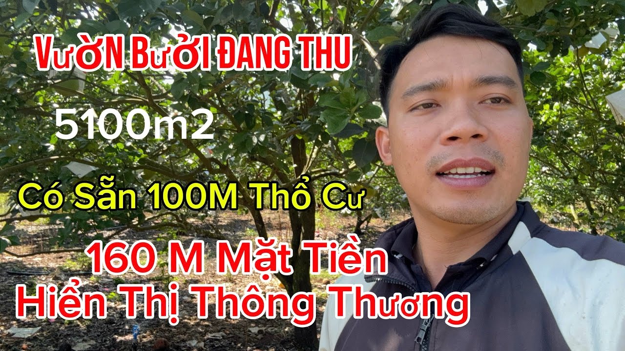 SỐC! vườn bưởi 2 mặt tiền – 5.100m²  Có 100M Thổ Cư– Thu vài trăm triệu/năm chỉ 2,2 tỷ