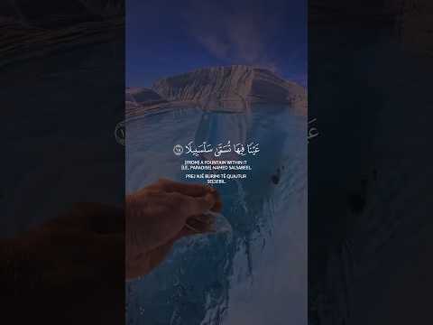 عينا فيها تسمى سلسبيلا اكتب شيء تؤجر عليه القارئ محمد اللحيدان قرآن  راحة نفسيه