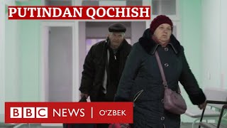 Украина уруши: Путиндан қочиш - BBC News O'zbek