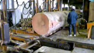 MOL009 M