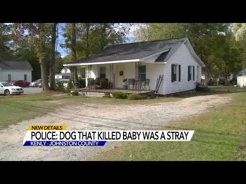 Newborn killed in Kenly was attacked by stray dog the family took in, police say