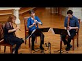 Capture de la vidéo Jacob Obrecht: Tandernaken  | Performed On Renaissance Recorders | Voices Of Music 4K