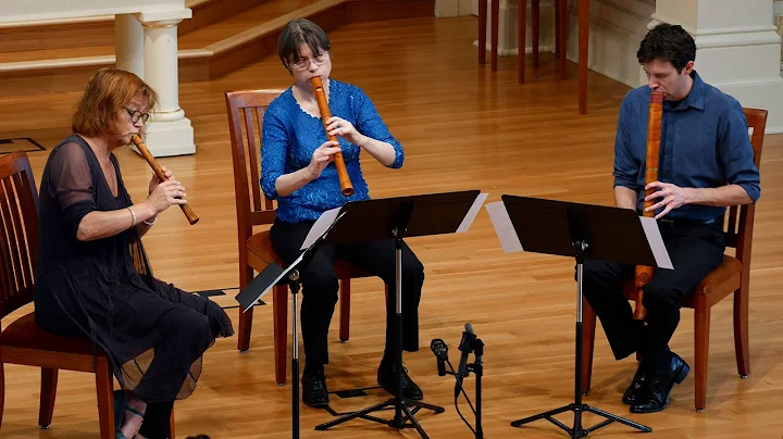 Jacob Obrecht: Tandernaken  | performed on renaiss...