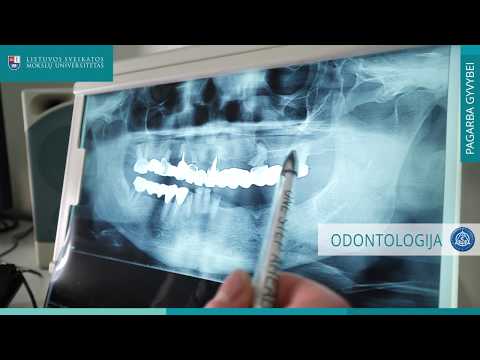 Video: Odontologija