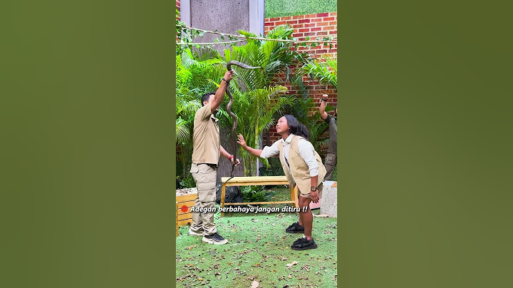 Dede Inoen dan Panji Petualang Handling King Cobra