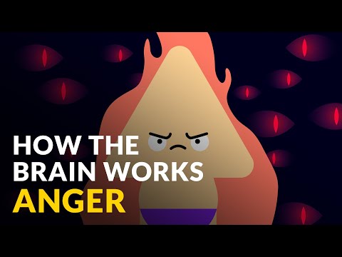 چگونه مغز با عصبانیت کار می کند