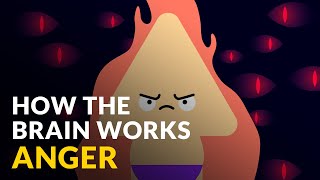 How The Brain Works With Anger