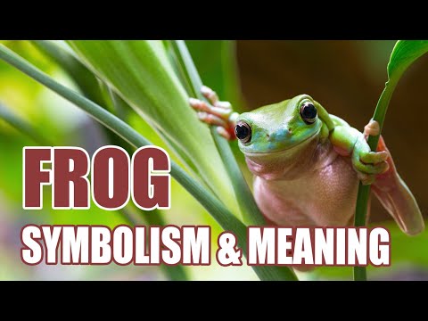 What does the frog mean to AKA?