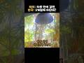 동남아 호텔이 한국인 샤워기 필터를 금지한 충격적인 이유