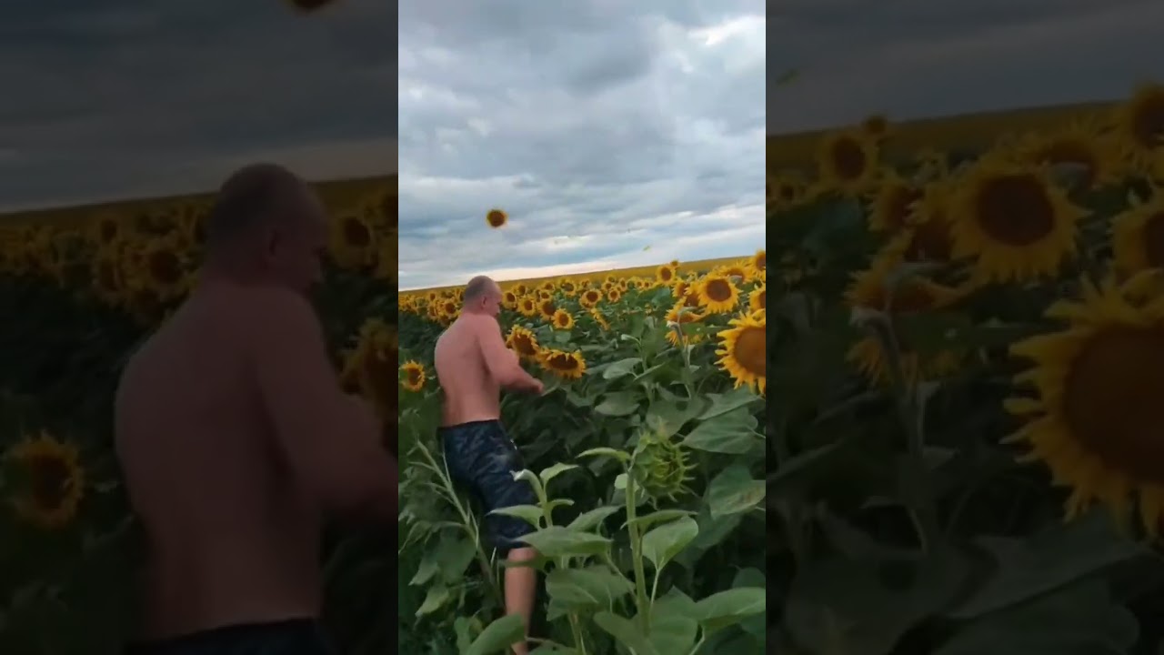 рутина terrariста 