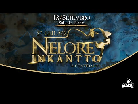 LOTE 18