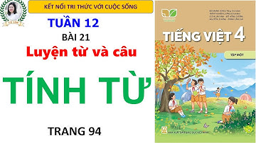 Tiếng Việt 4 Tập 1| Bài 21 Luyện từ và câu Tính từ Trang 94|  Kết nối tri thức