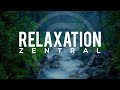 Relaxation Zentral Trailer - Meditate | Relax | Heal with Nature Sounds