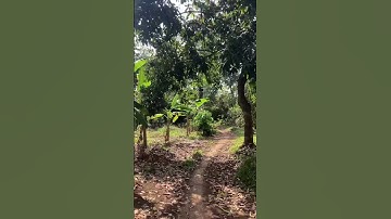 Trên bước đường thành công. Không có dấu chân của kẻ lười biếng.