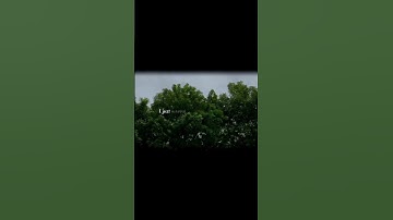 Thumbnail of Prateek kuhad-Co2 #youtube #viralshort #nature #video #shortvideos #viral #shorts #short #shortvideo