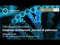 Wnanga 3 database architecture process and pathways