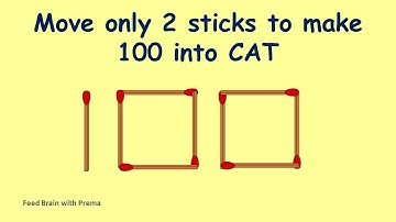 Change 100 into Cat | Match stick puzzle part 6 | Feed Brain with Prema