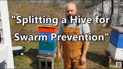 Beginner Beekeeping: Splitting a Hive for Swarm Prevention