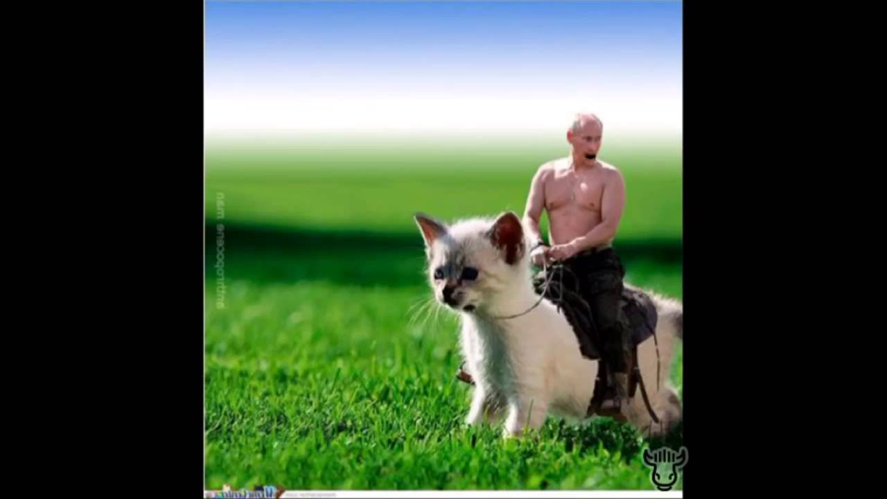 Putin Riding Things Youtube