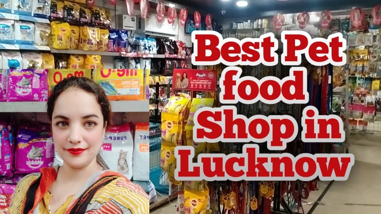 Best pet's food shop in Lucknow for pet lovers🥰 YouTube