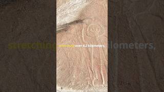 Unraveling The Mystery Of Marree Man