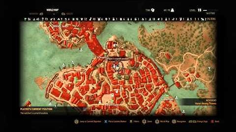 The Witcher 3: Wild Hunt Potion of clearance, respect skills NOVIGRAD