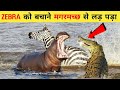 10 ऐसे जानवर जिन्होंने दुसरे जानवरों की जिंदगी बचाई | 10 Animals That Saved Other Animal's Life