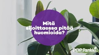 POP Rahastot - Mitä Sijoittaessa Pitää Huomioida? POP Rahastot - Mitä Sijoittaessa Pitää Huomioida?