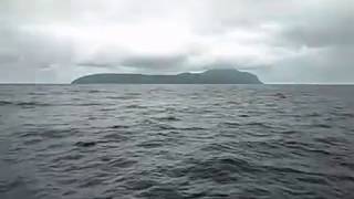 The Real Juric Park Cocos Island, Costa Rica