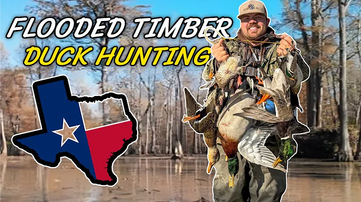 DUCK HUNTING Public Flooded TIMBER in TEXAS! (Sleeping in the hole)