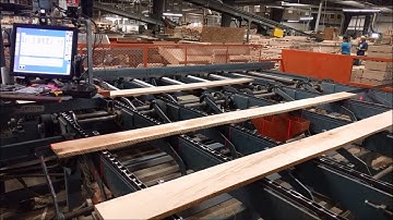 Tisfoon Lateral Scanner