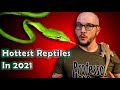 Top 5 NEWLY Popular Reptiles In 2021