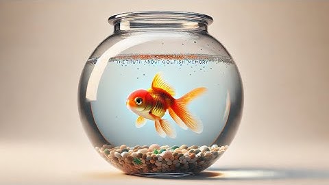 Goldfish Memory Myth Busted! 🐟
