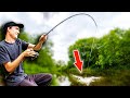 EPIC River Fishing! - Carl vs Alex Ep2 S2