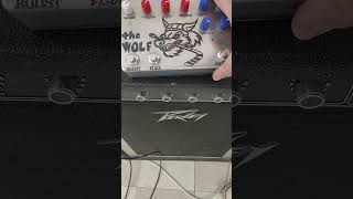 Bass Multieffect pedal - Devi Ever Wolf Fuzz, Jack Orman Mosfet Boost, Nurse Quacky Envelope Filter