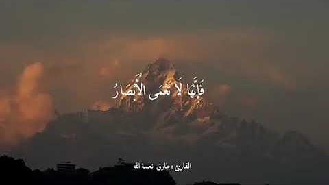 تلاوه مريحه للقلب ❤ القارئ طارق محمد نعمة الله